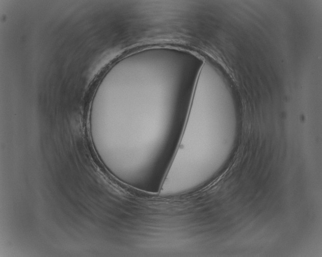 X0000074011452200608211031