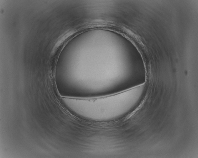 X0000074011453200608211031