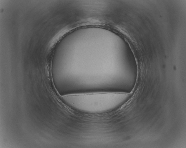 X0000074011455200608211031