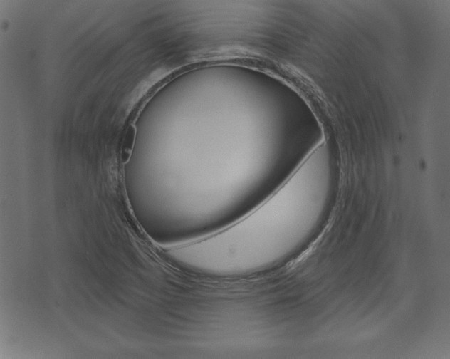 X0000074011457200608211031