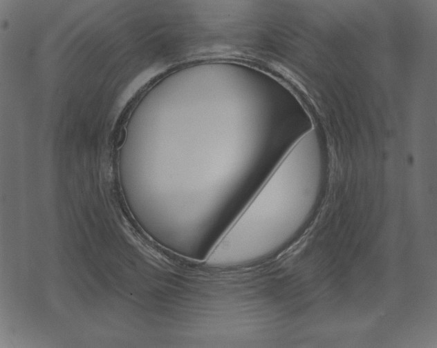 X0000074011458200608211031