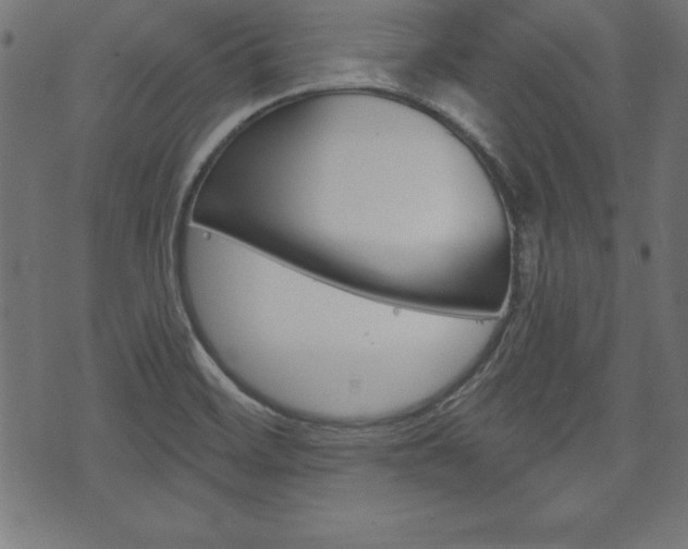 X0000074011468200608211031