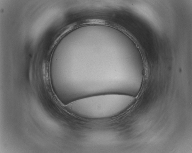 X0000074011487200608211031