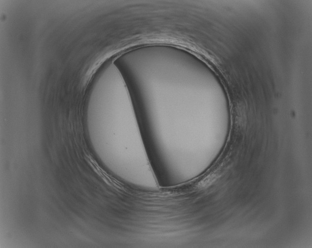 X0000074011499200608211030