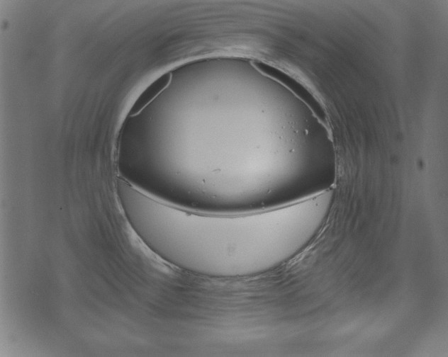 X0000074011532200608211031
