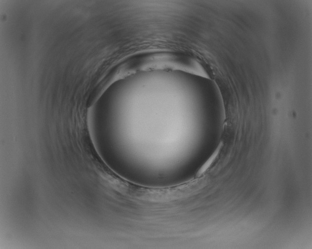 X0000074010037200608211433