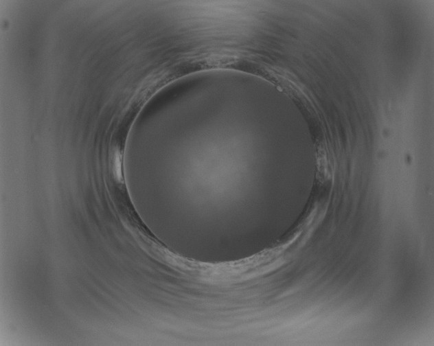X0000074010046200608211433