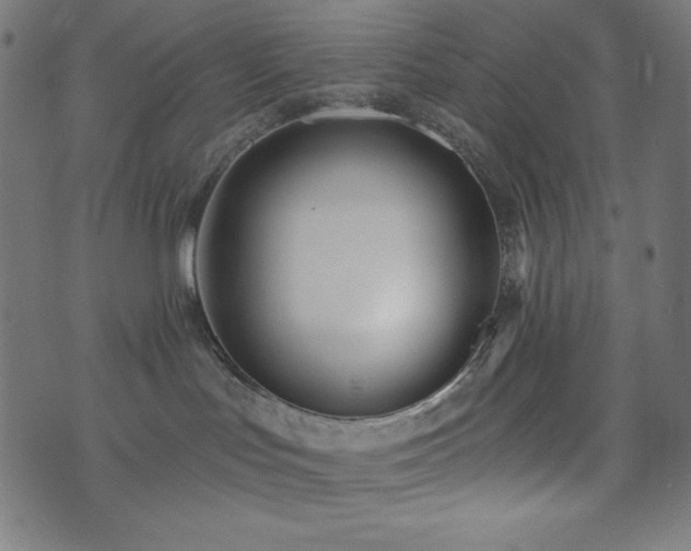 X0000074010047200608211433
