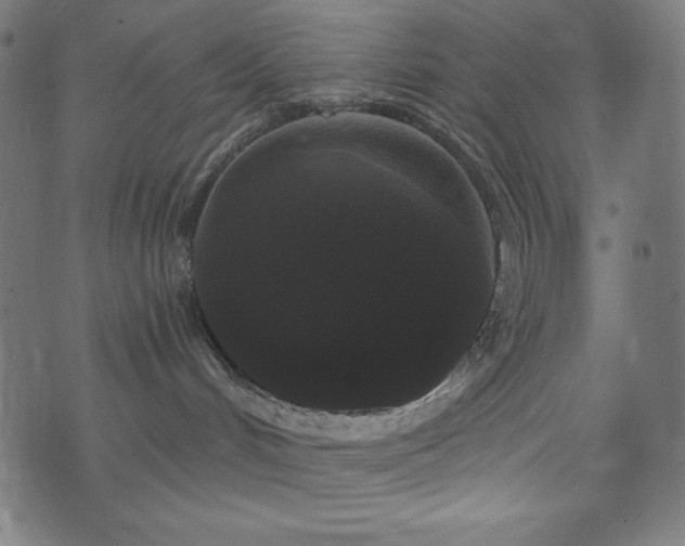 X0000074010048200608211433