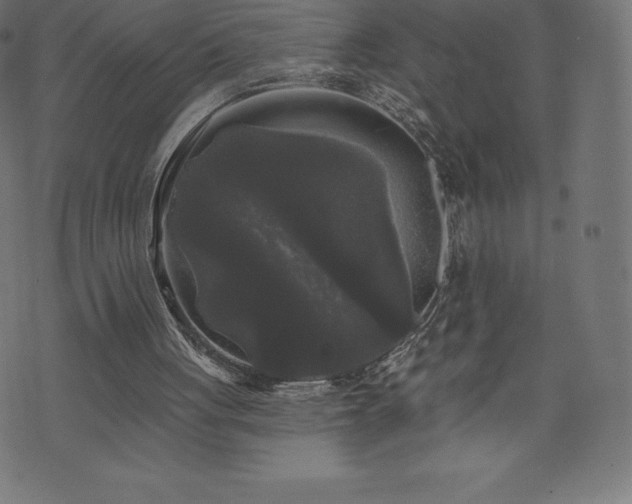 X0000074010051200608211432
