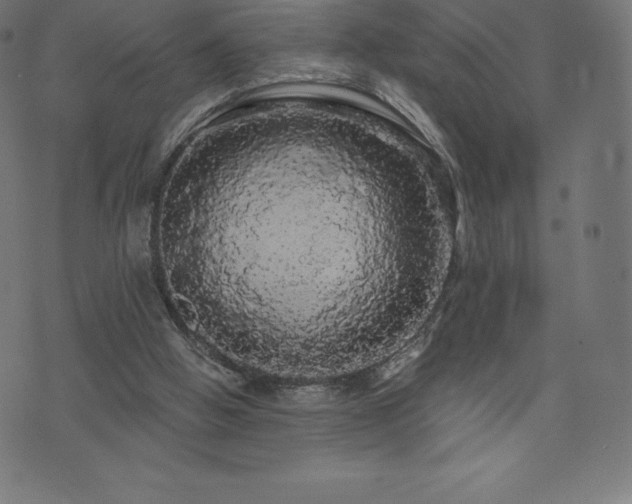 X0000074010058200608211432
