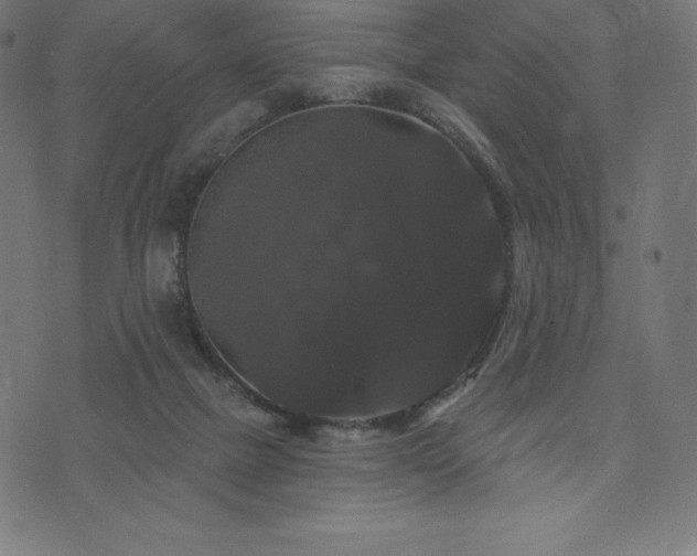 X0000074010073200608211432