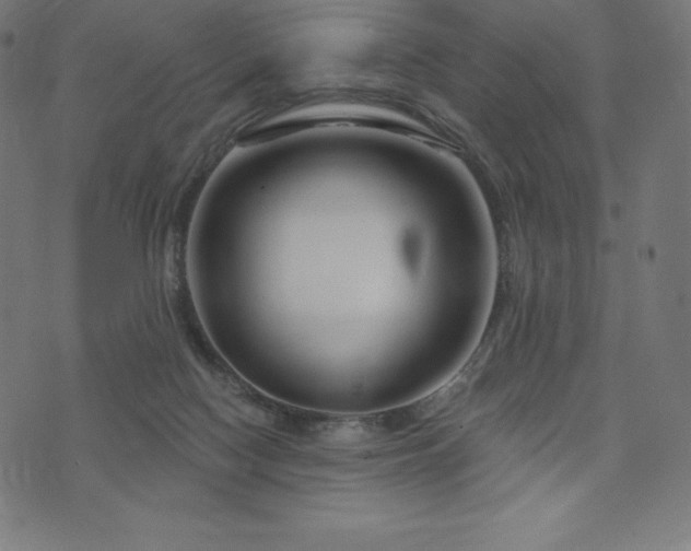 X0000074010074200608211432