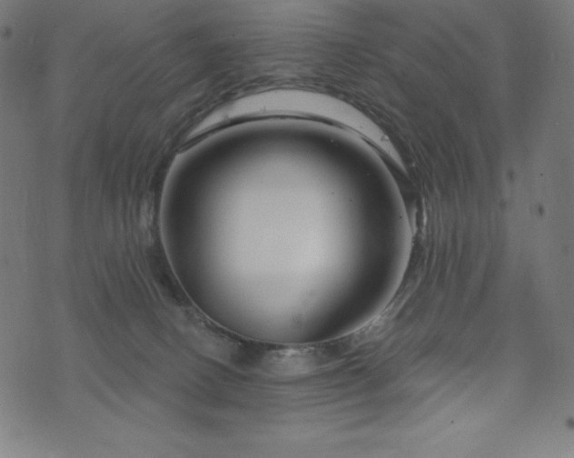 X0000074010082200608211432