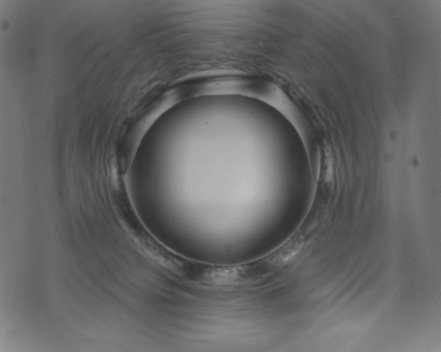 X0000074010084200608211432