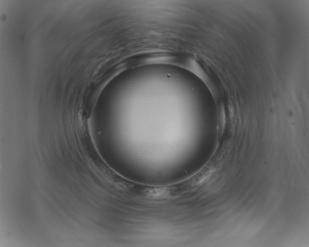 X0000074010088200608211433
