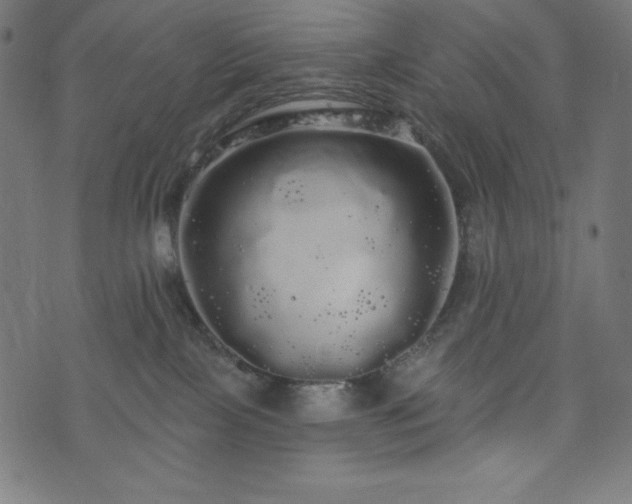 X0000074010089200608211433