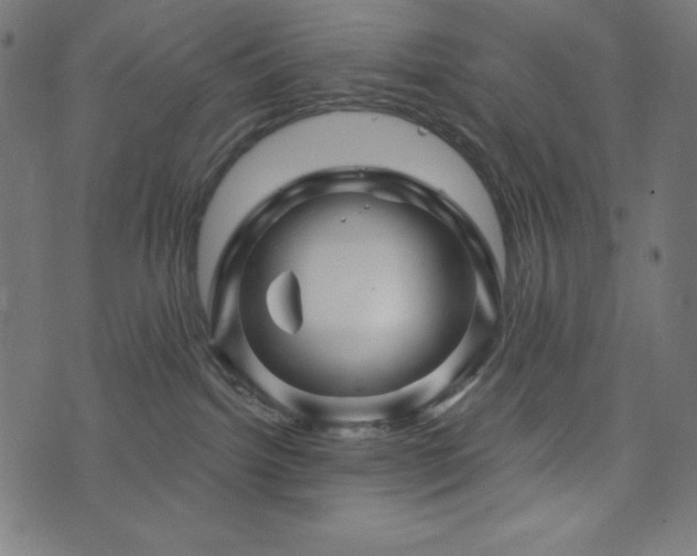 X0000074010092200608211433