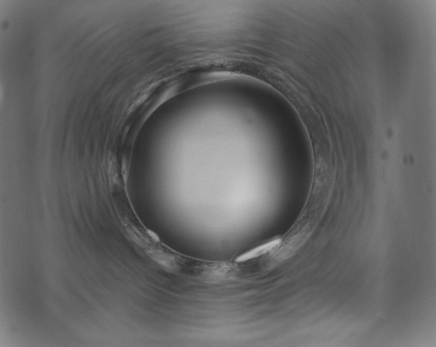 X0000074010096200608211433