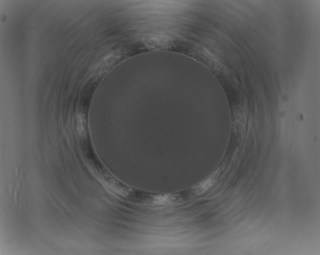 X0000074010130200608211431