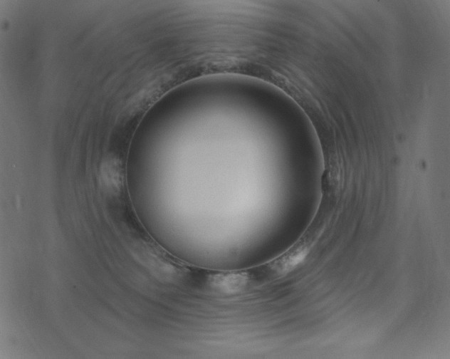 X0000074010135200608211431
