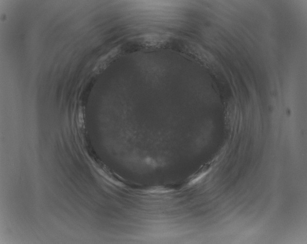 X0000074010137200608211431