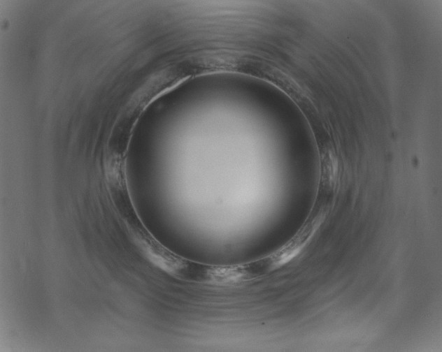 X0000074010141200608211431