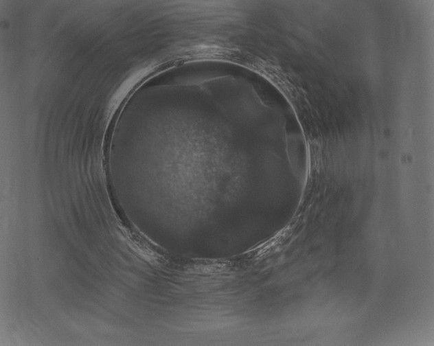 X0000074010147200608211430