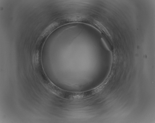 X0000074010163200608211431