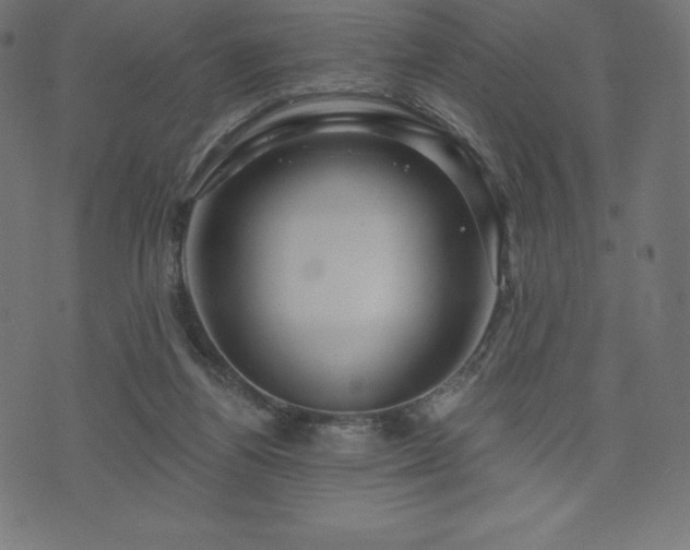 X0000074010164200608211431