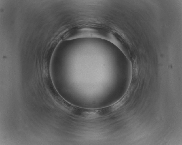 X0000074010170200608211431