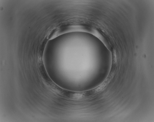 X0000074010176200608211431
