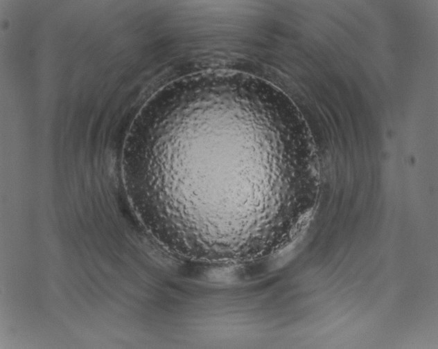 X0000074010178200608211431
