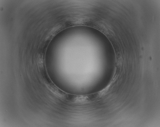 X0000074010179200608211431