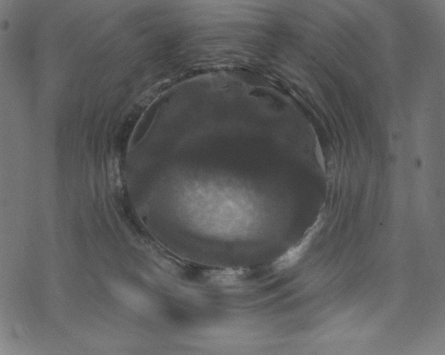 X0000074010182200608211431