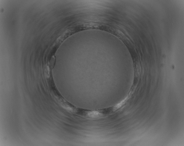 X0000074010183200608211431