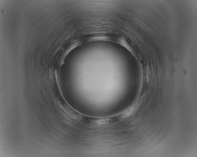 X0000074010184200608211431