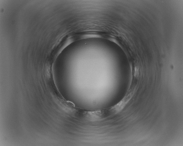 X0000074010188200608211431