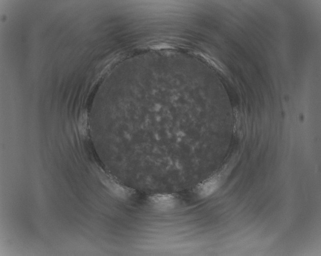 X0000074010189200608211431