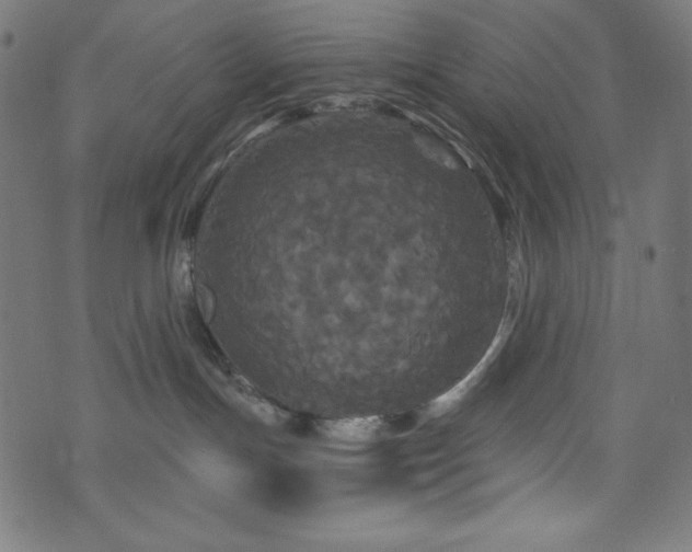 X0000074010191200608211431