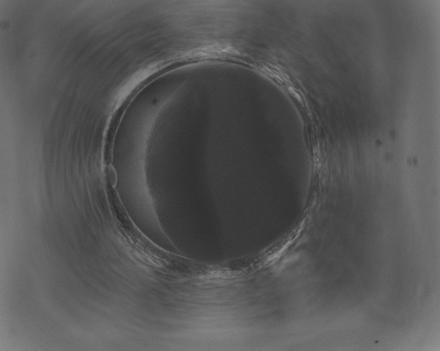 X0000074010196200608211430