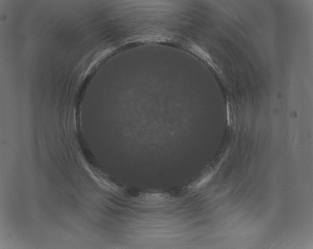 X0000074010205200608211430