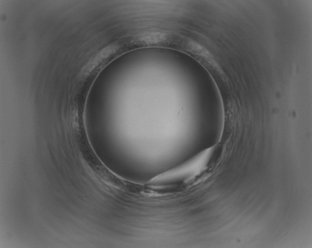 X0000074010212200608211430