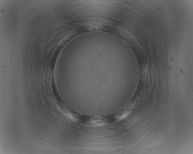 X0000074010228200608211430