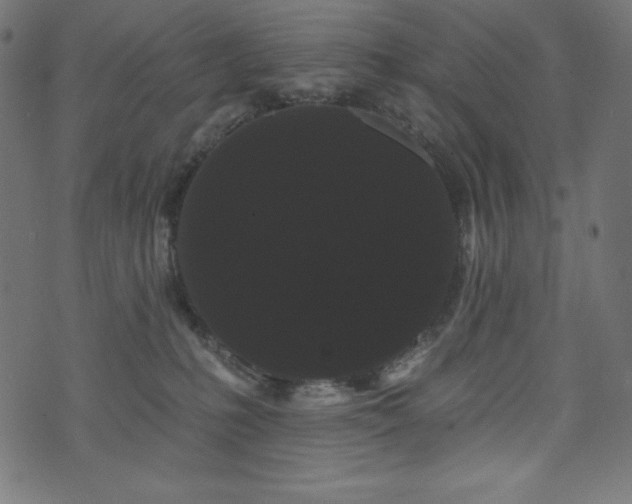 X0000074010231200608211430