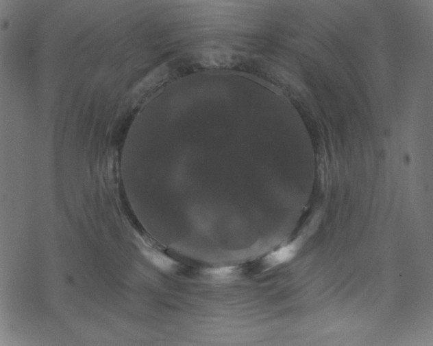 X0000074010233200608211430