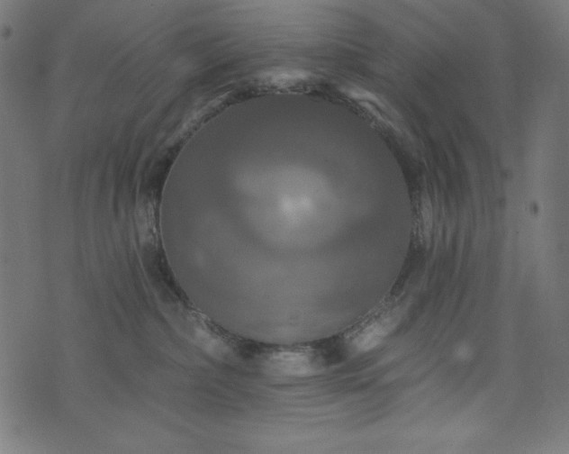 X0000074010236200608211430