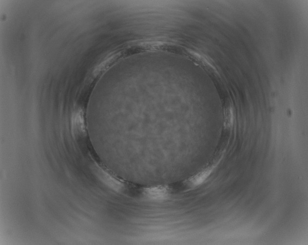 X0000074010238200608211430