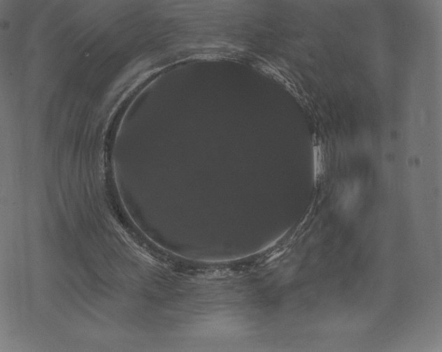 X0000074010243200608211429