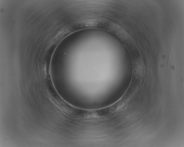 X0000074010262200608211429